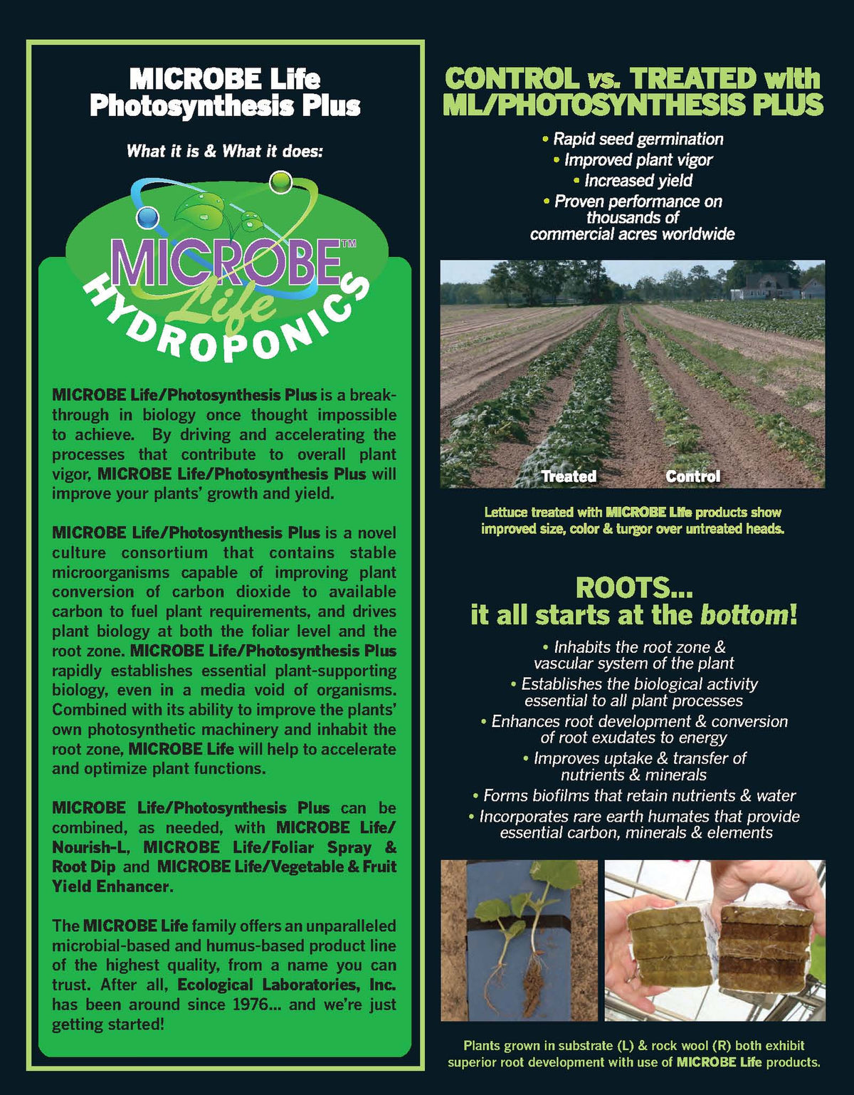 Photosynthesis Plus Pint O27152