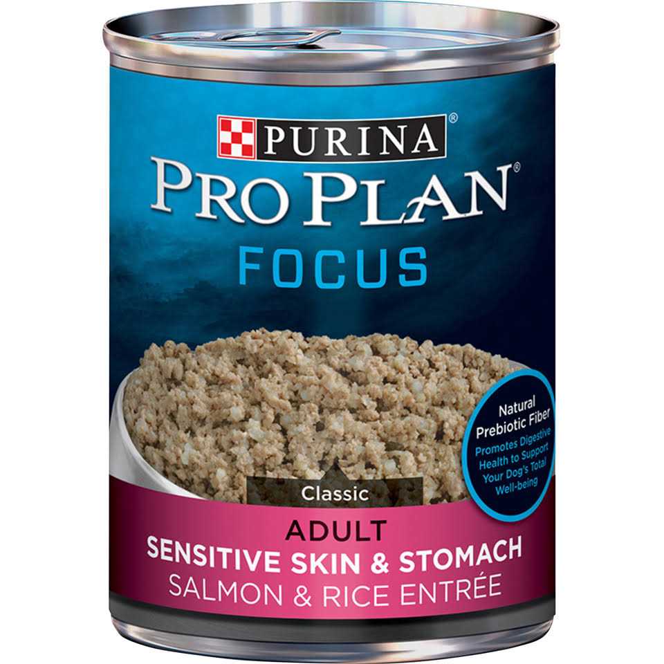 Salmon & Rice Wet Dog Food G1465