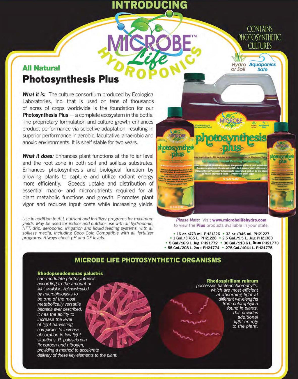 Photosynthesis Plus Pint O27152