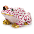 Frog with Ladybug V431356