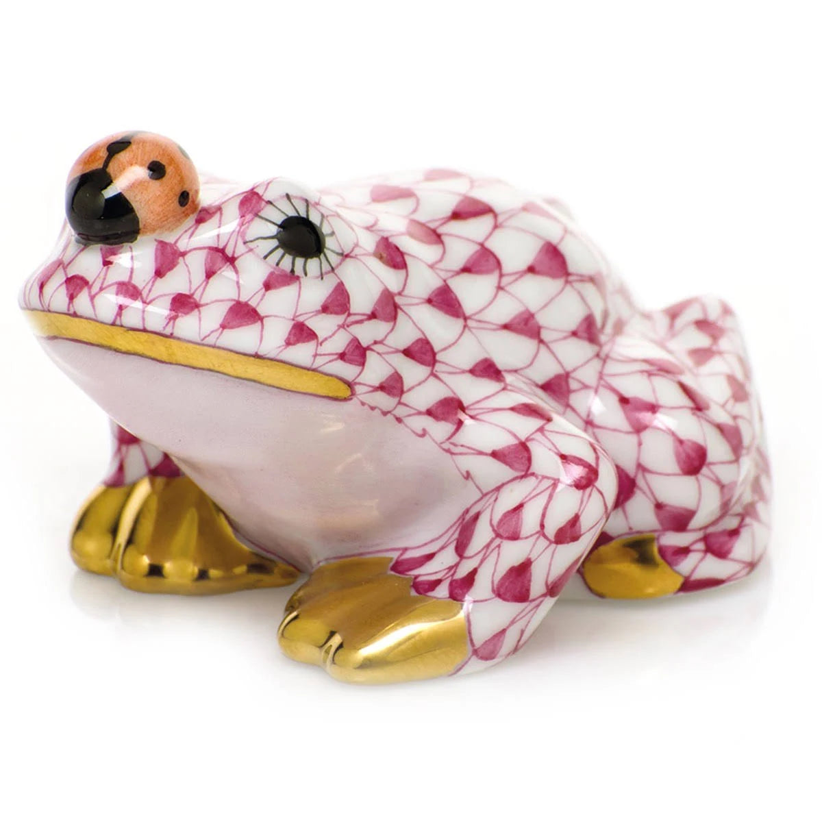 Frog with Ladybug V431356