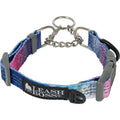 Patterned Reflective Chain Martingale Dog Collar Z7810