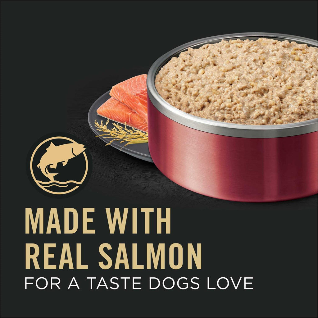 Salmon & Rice Wet Dog Food G1465