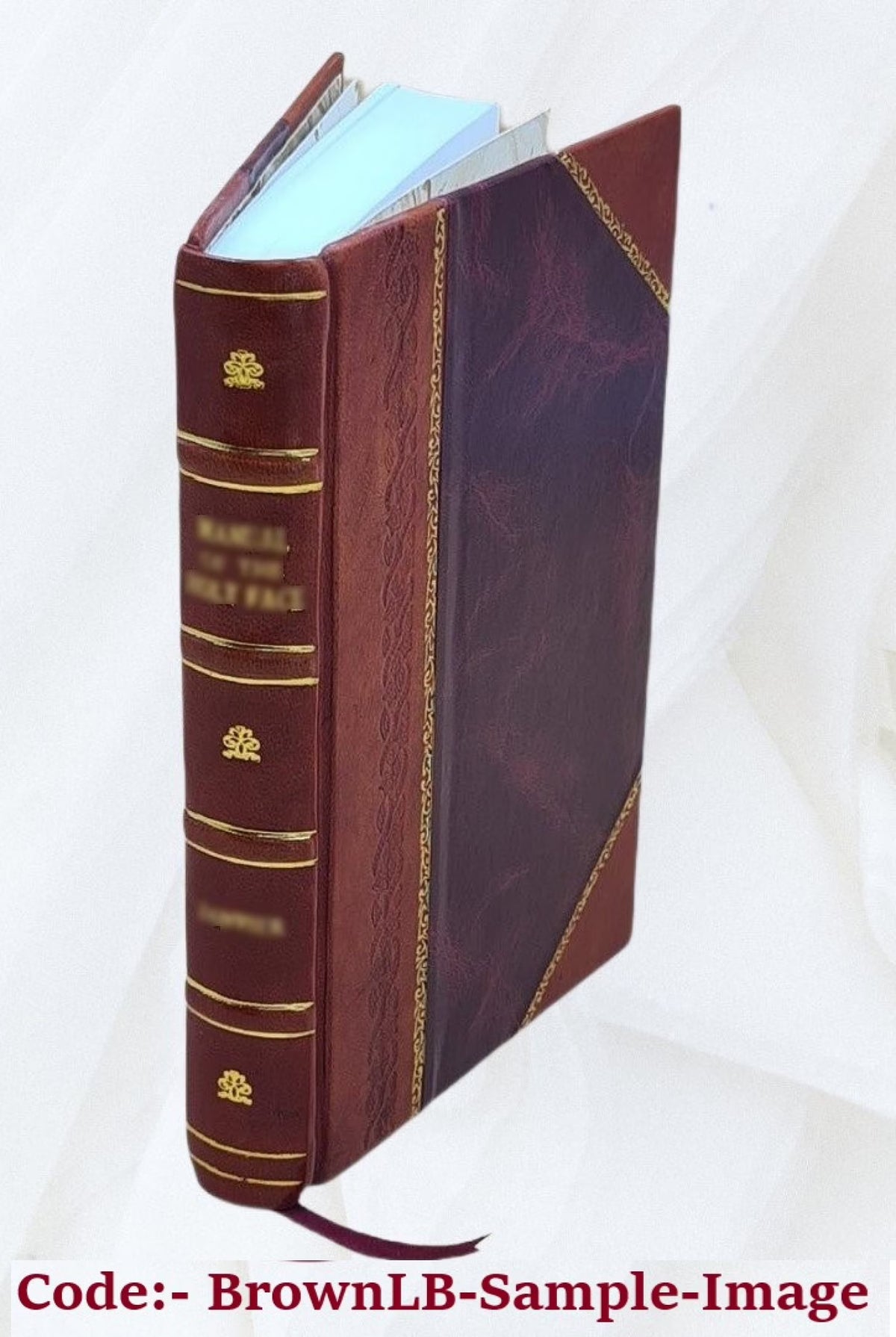Leather Bound Book K9105