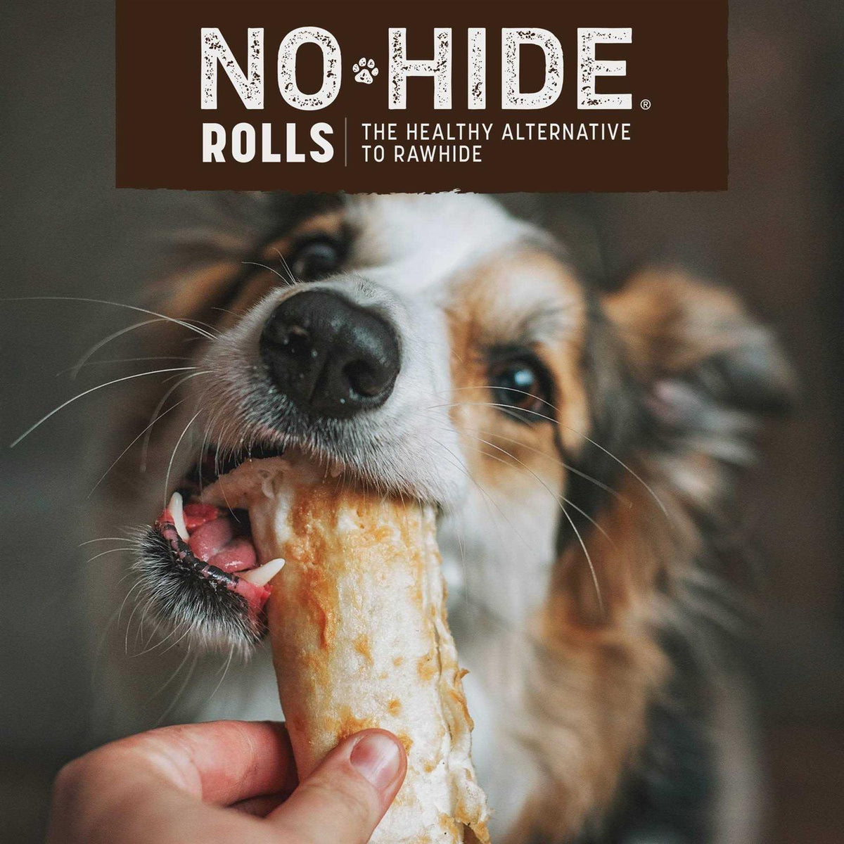Dog No Hide Salmon O467749