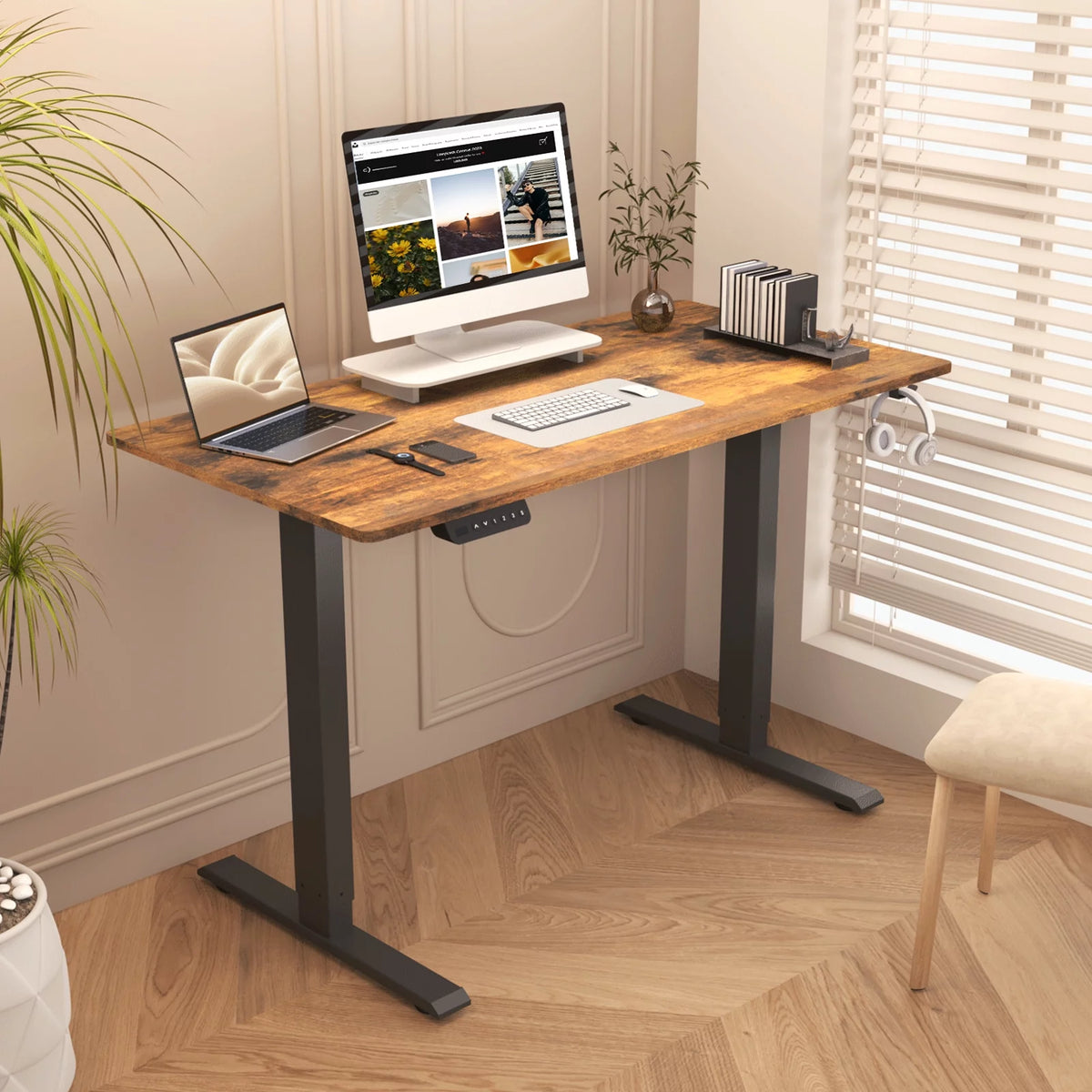 48 x 24 Inch Electric Standing Desk Y5586