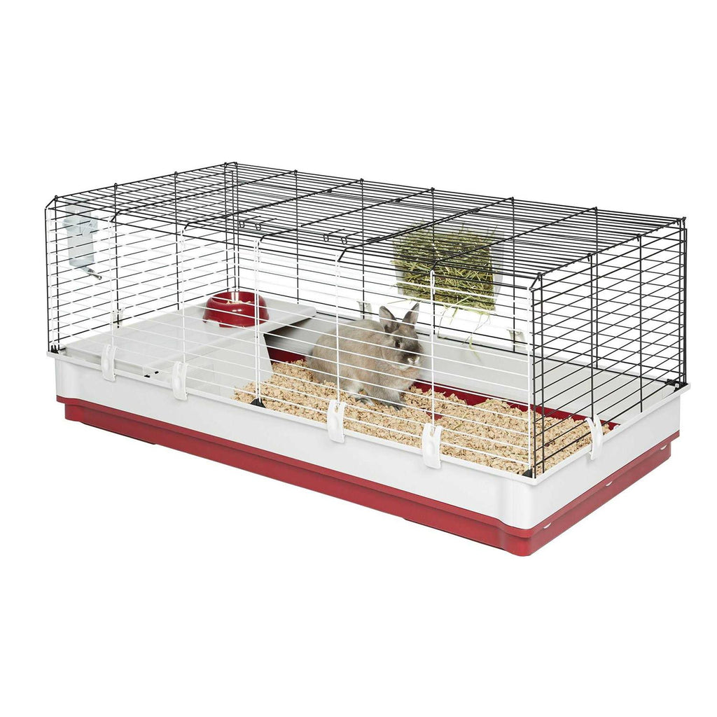 Rabbit Home R1868