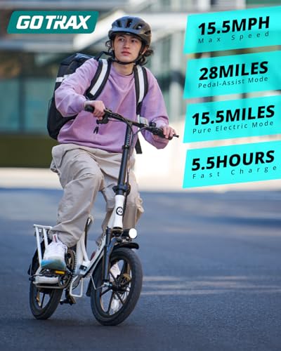 16" Folding Electric Bike with Removable Battery L561