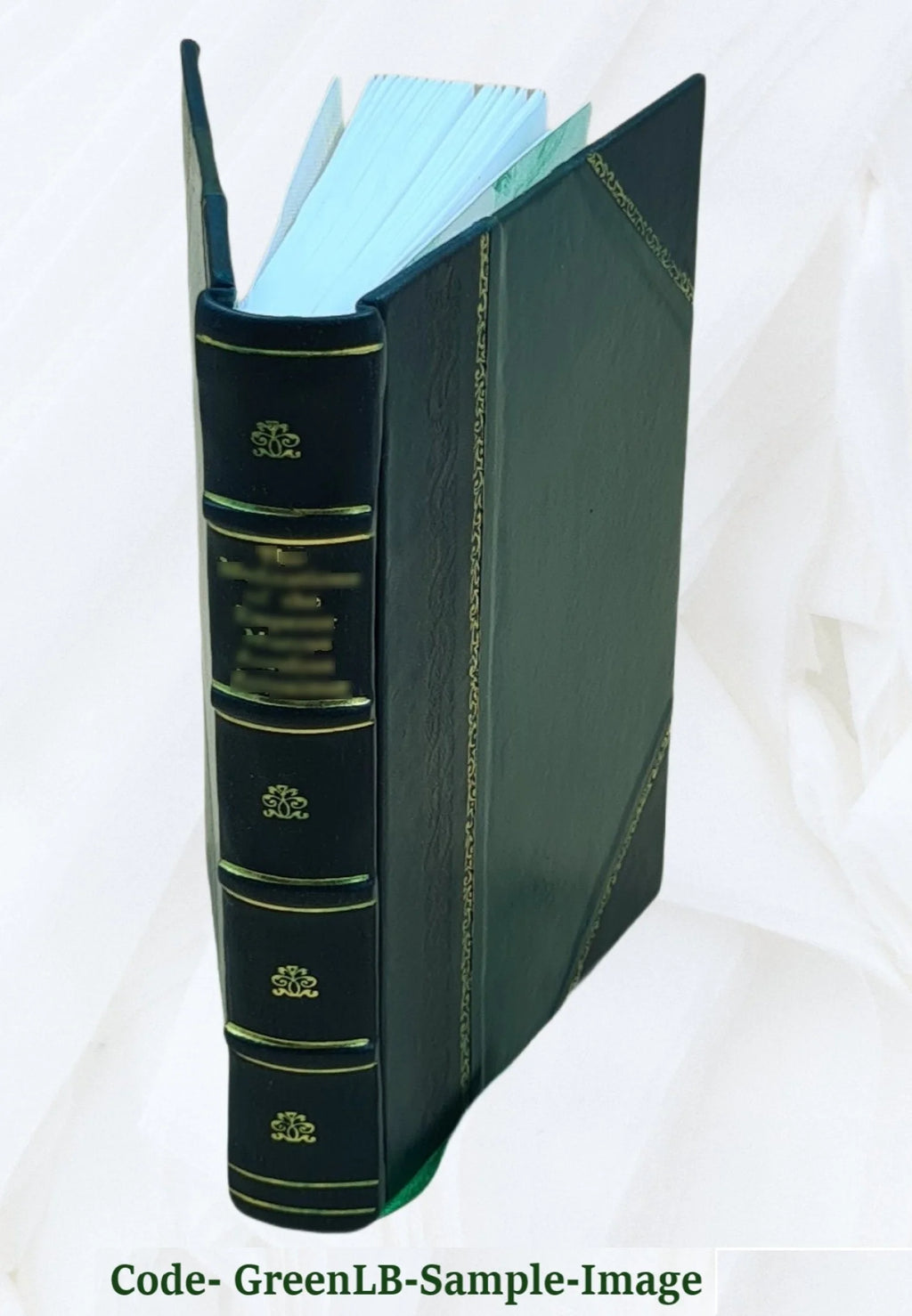Leather Bound Book K9105