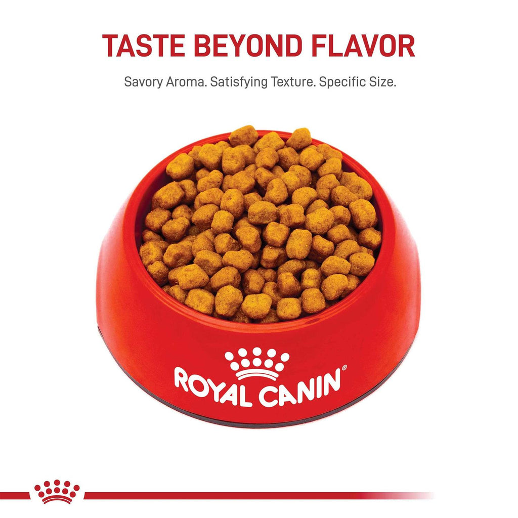 Adult Dry Dog Food M758