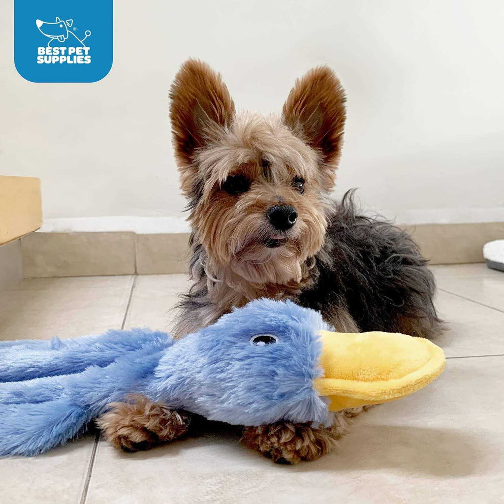 Crinkle Dog Toy with Soft Squeaker M302