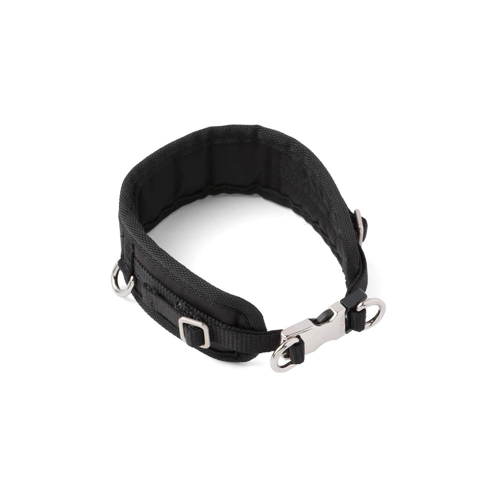 Pet Collar A26915