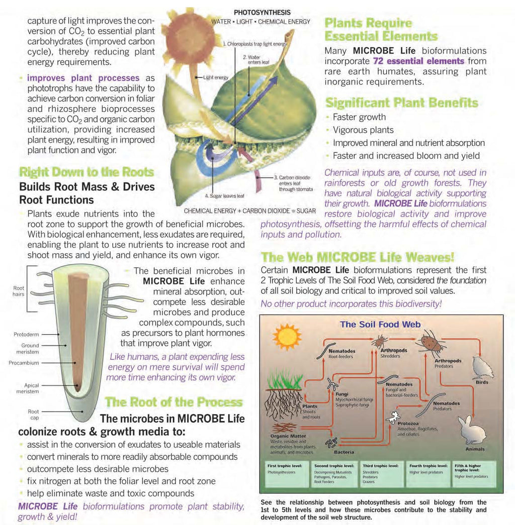 Photosynthesis Plus Pint O27152