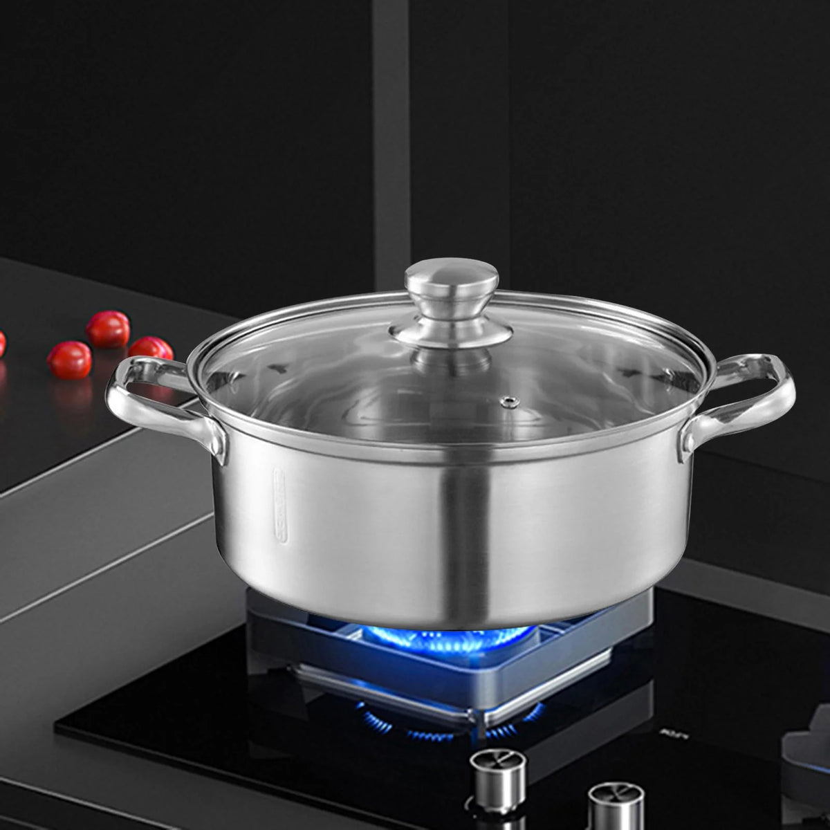 Stainless Steel Stockpot with Lid H262