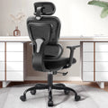 Black Ergonomic Office Chair with Lumbar Support N6288