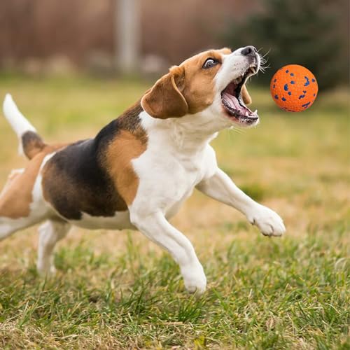 Interactive Tennis Fetch Ball Toy for Dogs R2859