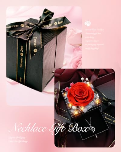 Red Preserved Real Rose Heart Necklace G47013