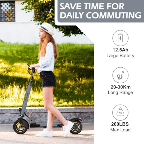 800W 28 MPH 10" Off Road Tires Folding Electric Scooter Q304