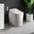 Small Size Smart Toilet One-Piece Elongated Floor Mounted O951