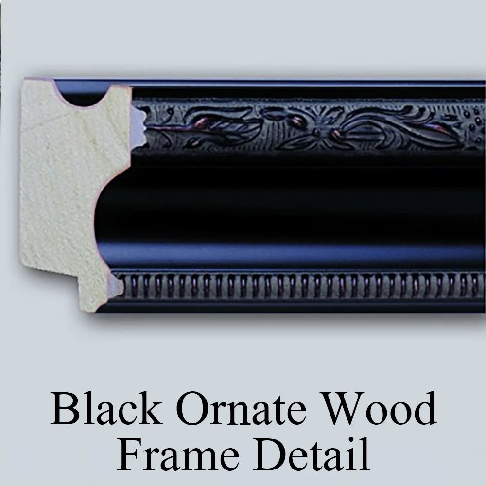Black Ornate Framed Double Matted Museum Art Print H94274