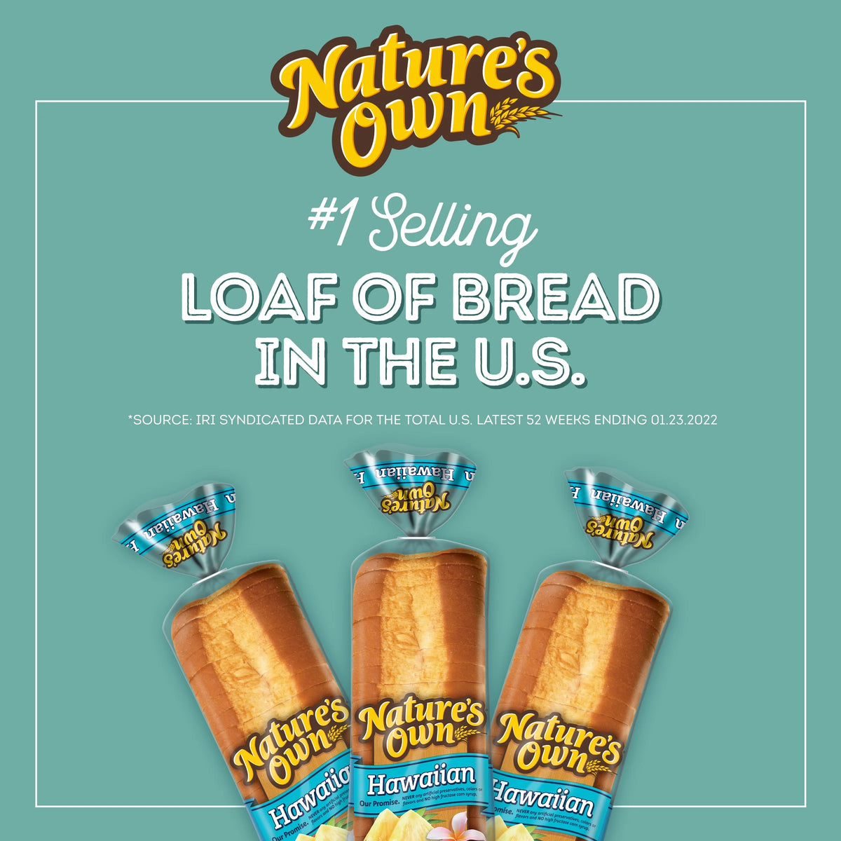 Hawaiian Bread, 20 oz Loaf T4298