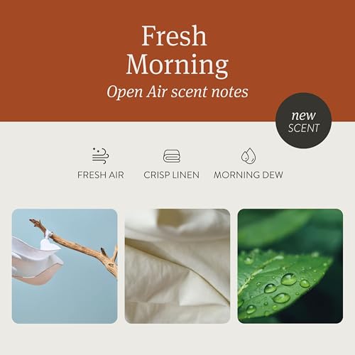 Pack of 3 Wood Car Air Freshener C686