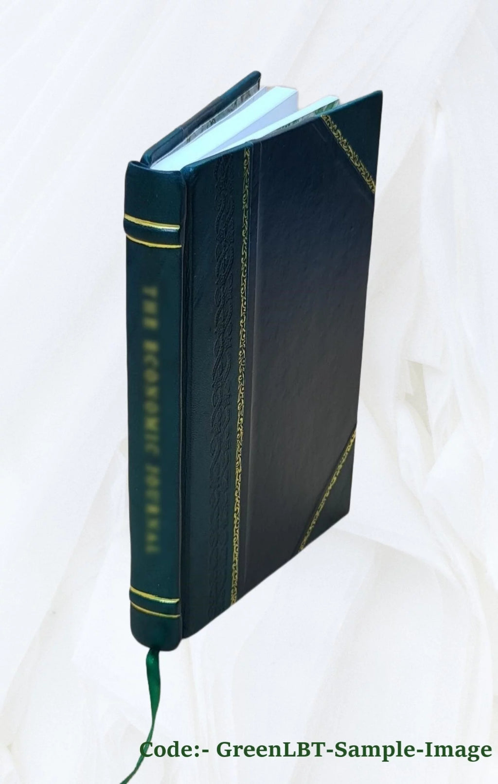 Snake River and lower Salmon River Idaho Leather Bound J478089