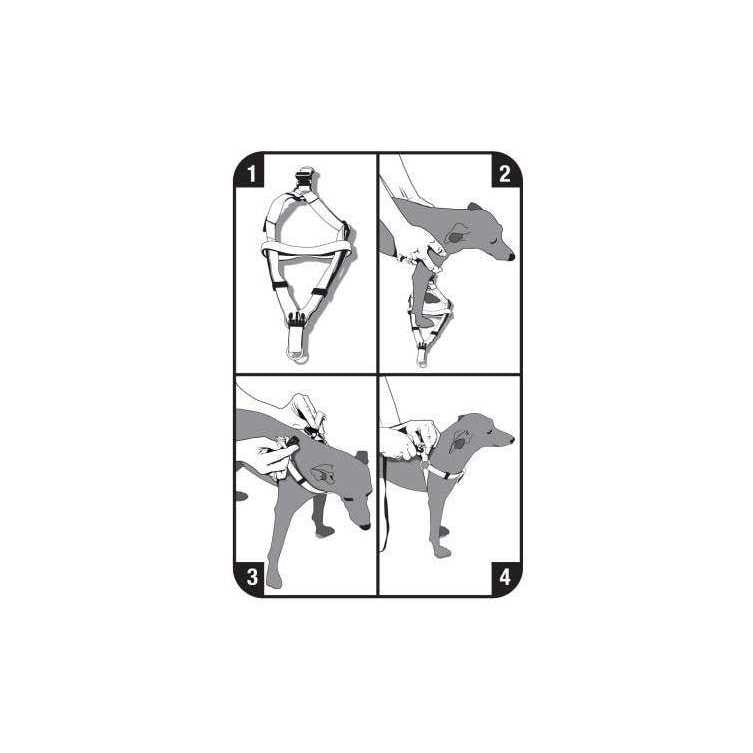 Step-In Dog Harness K3577