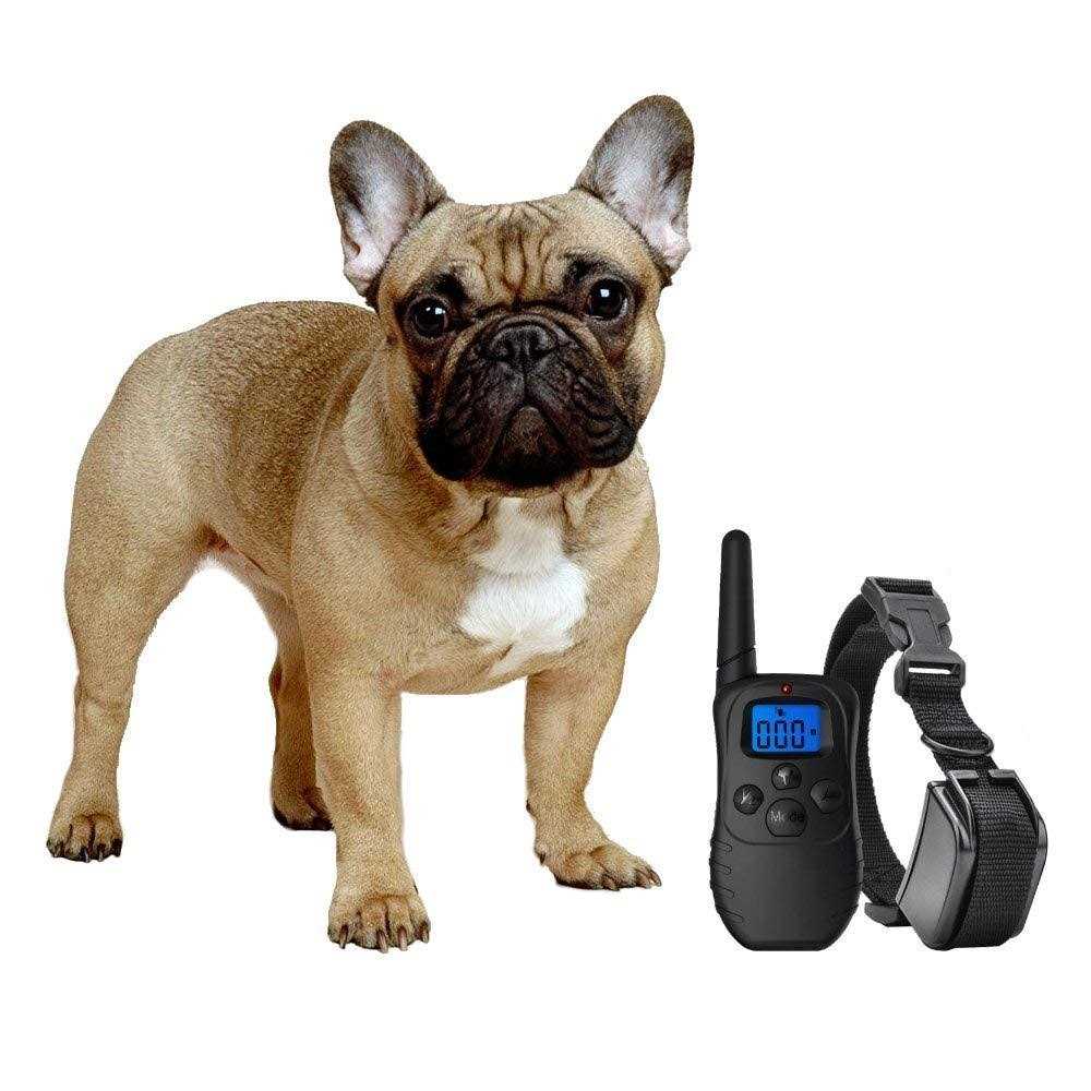Shock Collar for Small Dogs with Remote B466350