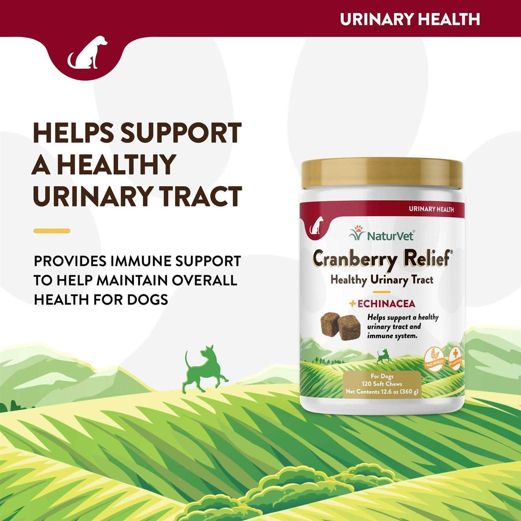Cranberry Relief Plus Echinacea Soft Chews for Dogs X3604
