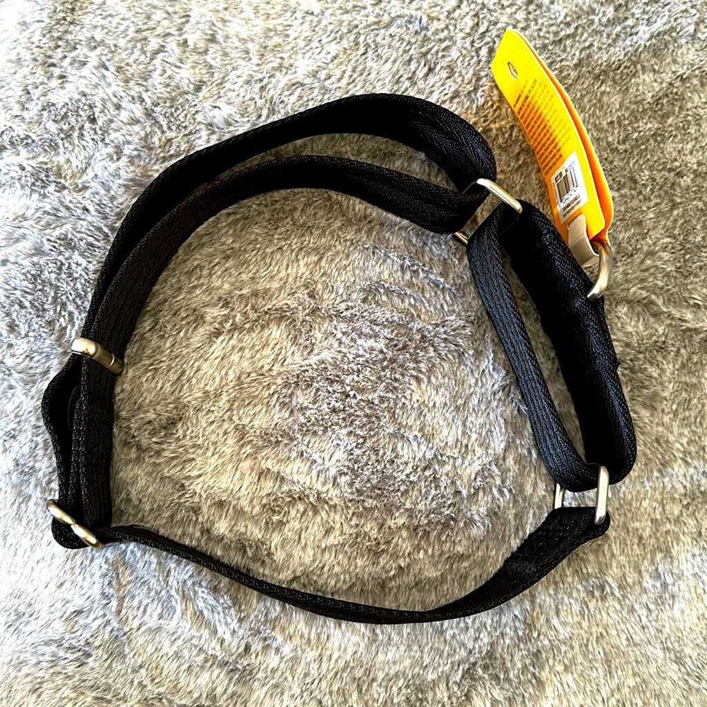 Martingale Dog Collar D601