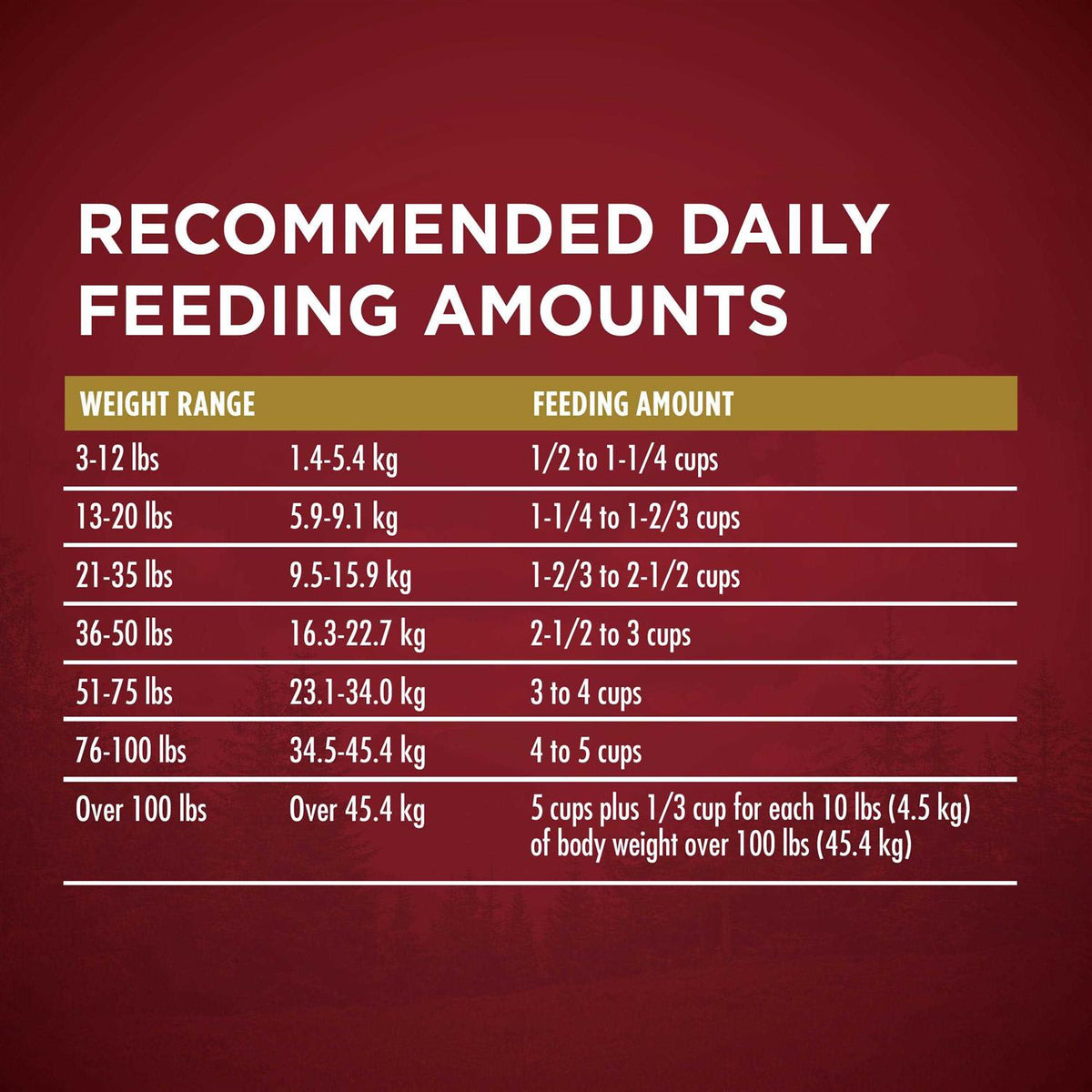 Dry Dog Food F4651