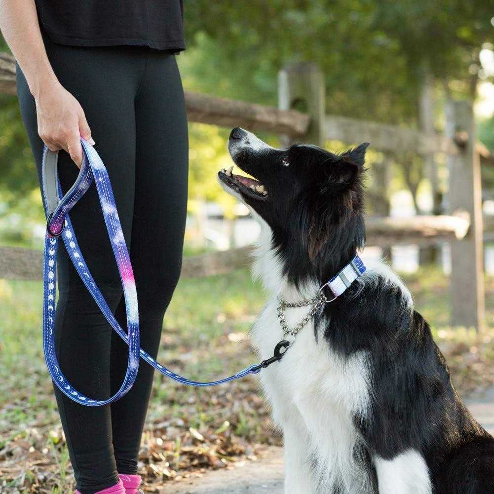 Patterned Reflective Chain Martingale Dog Collar Z7810