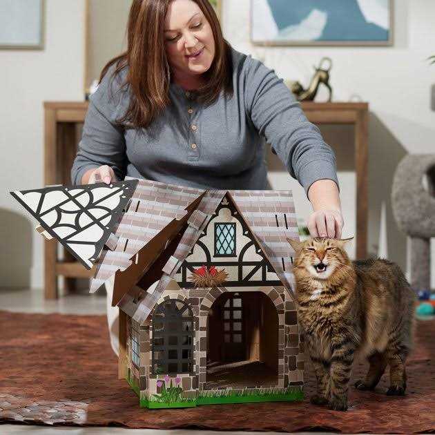 Cardboard Cat House V244