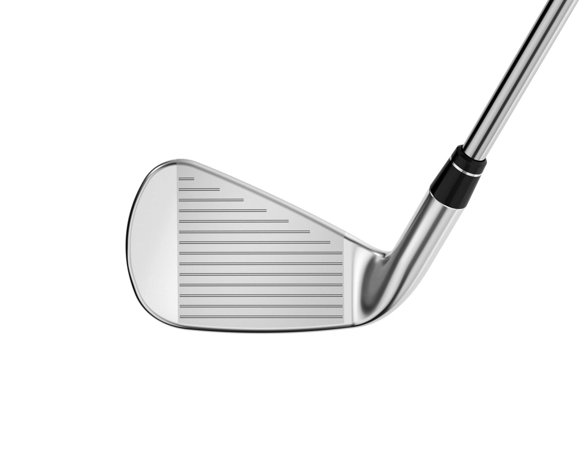 21 Iron Set 6-PW Steel Stiff B91995