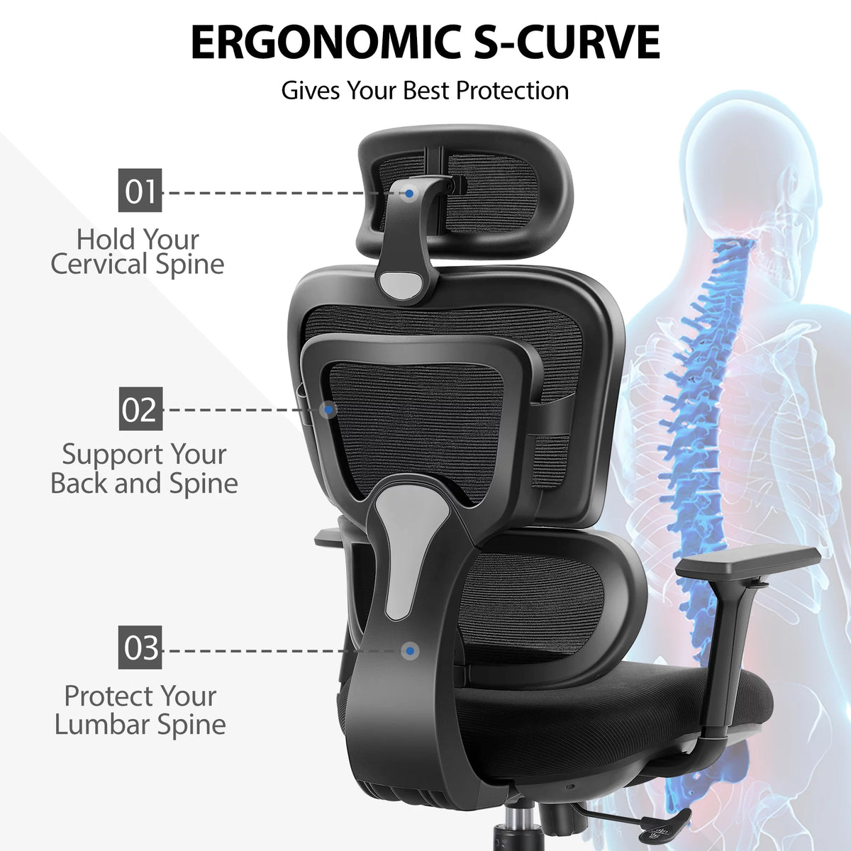 Black Ergonomic Office Chair with Lumbar Support N6288