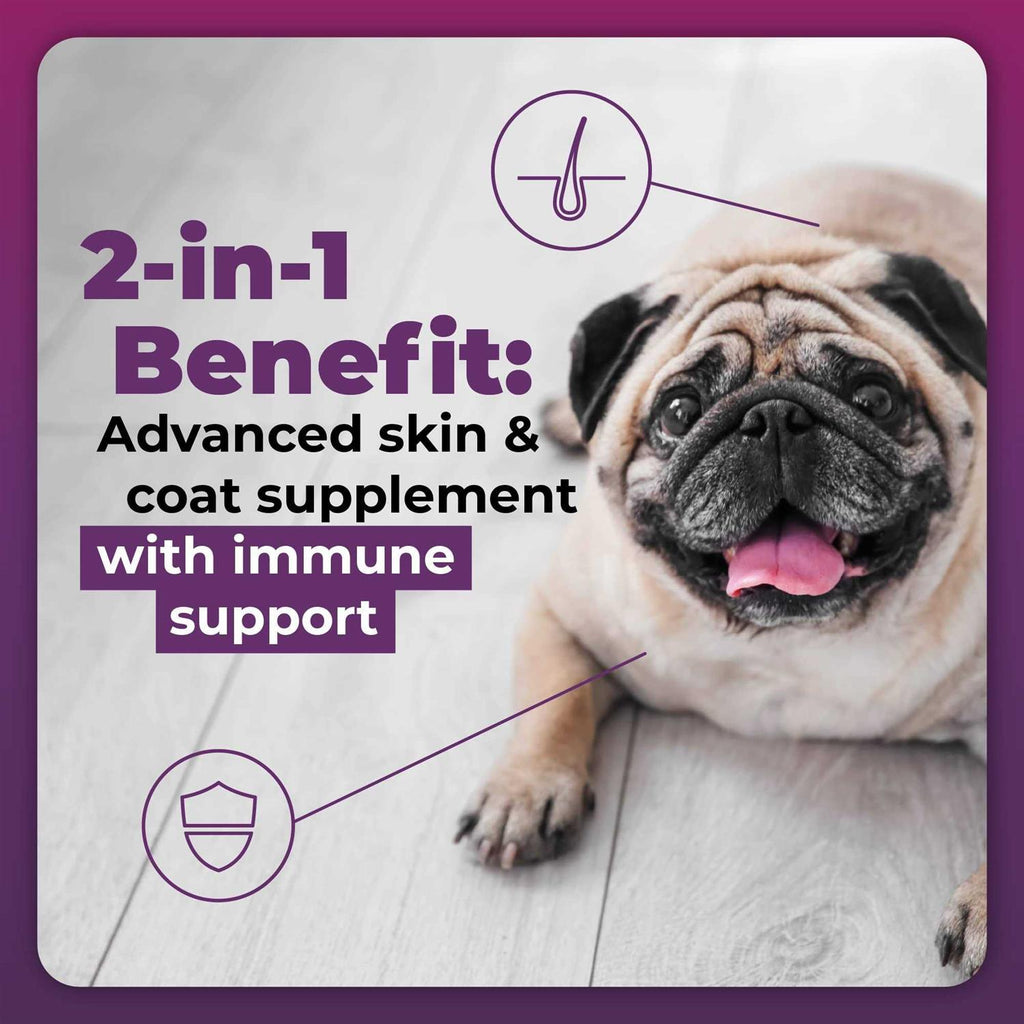 Duck Flavor Supplement for Dogs H681130