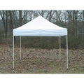 White Pop Up Canopy C244