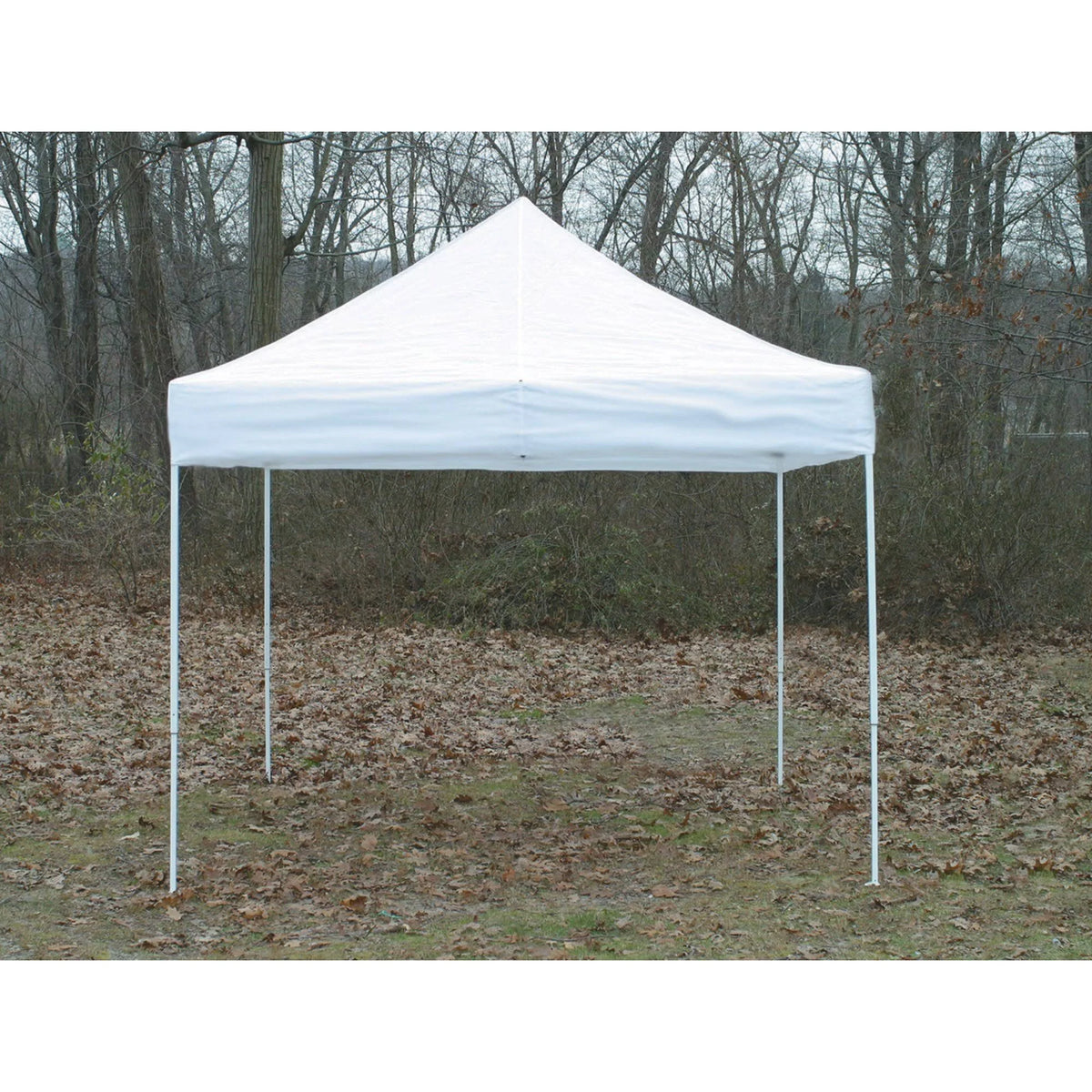 White Pop Up Canopy C244