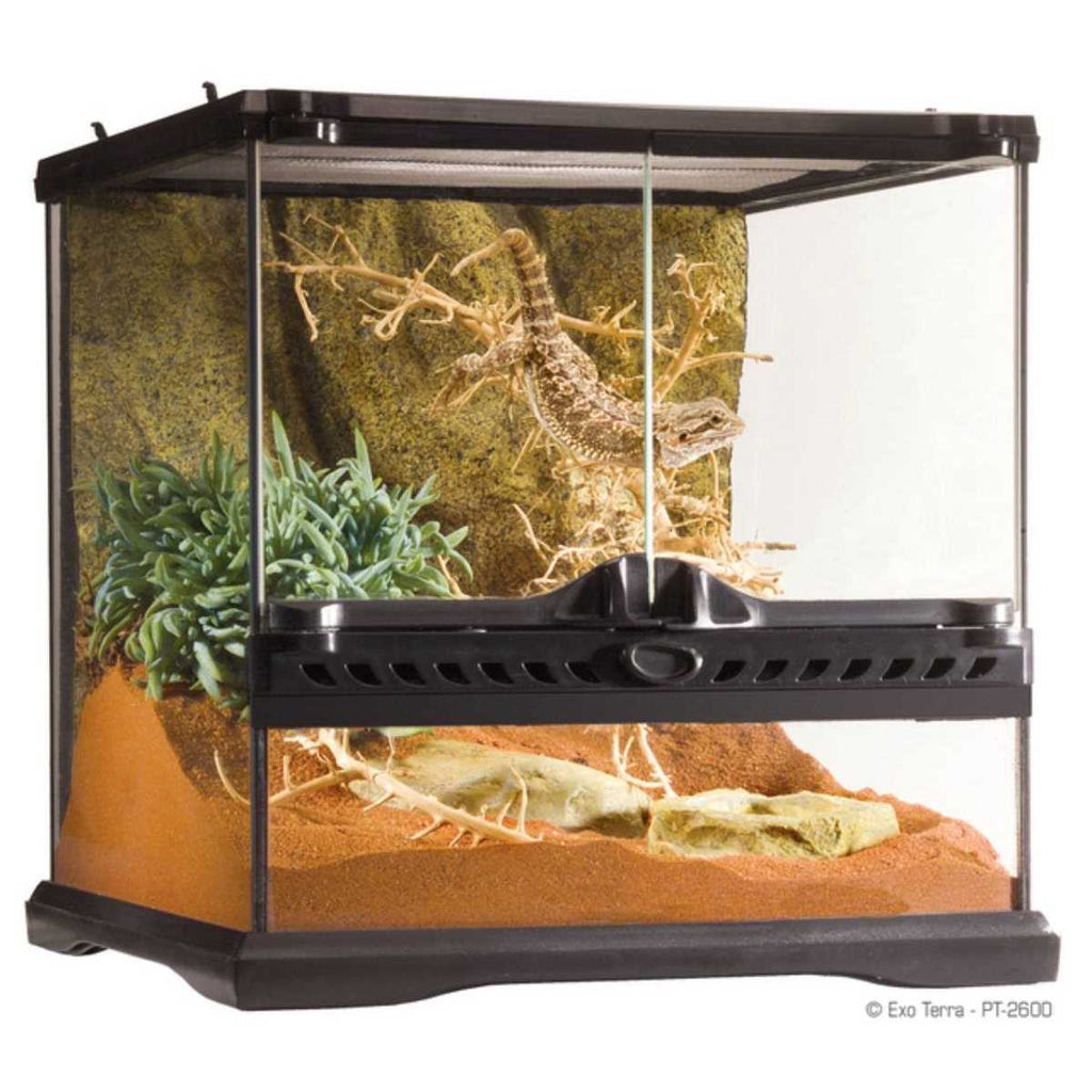 Glass Terrarium L267693