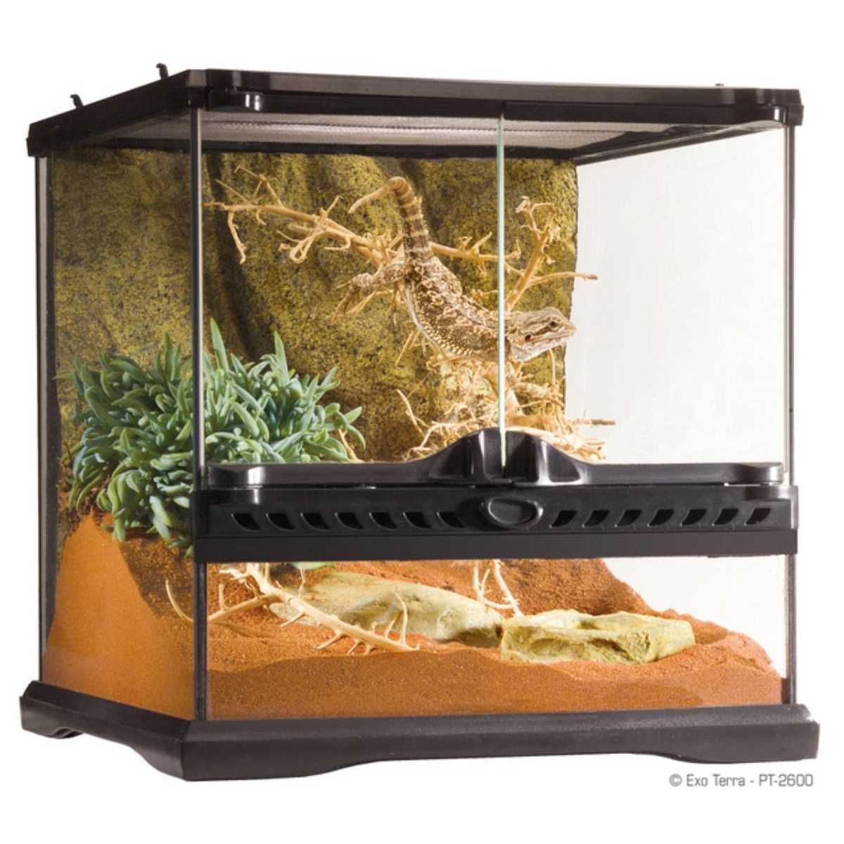 Glass Terrarium L267693