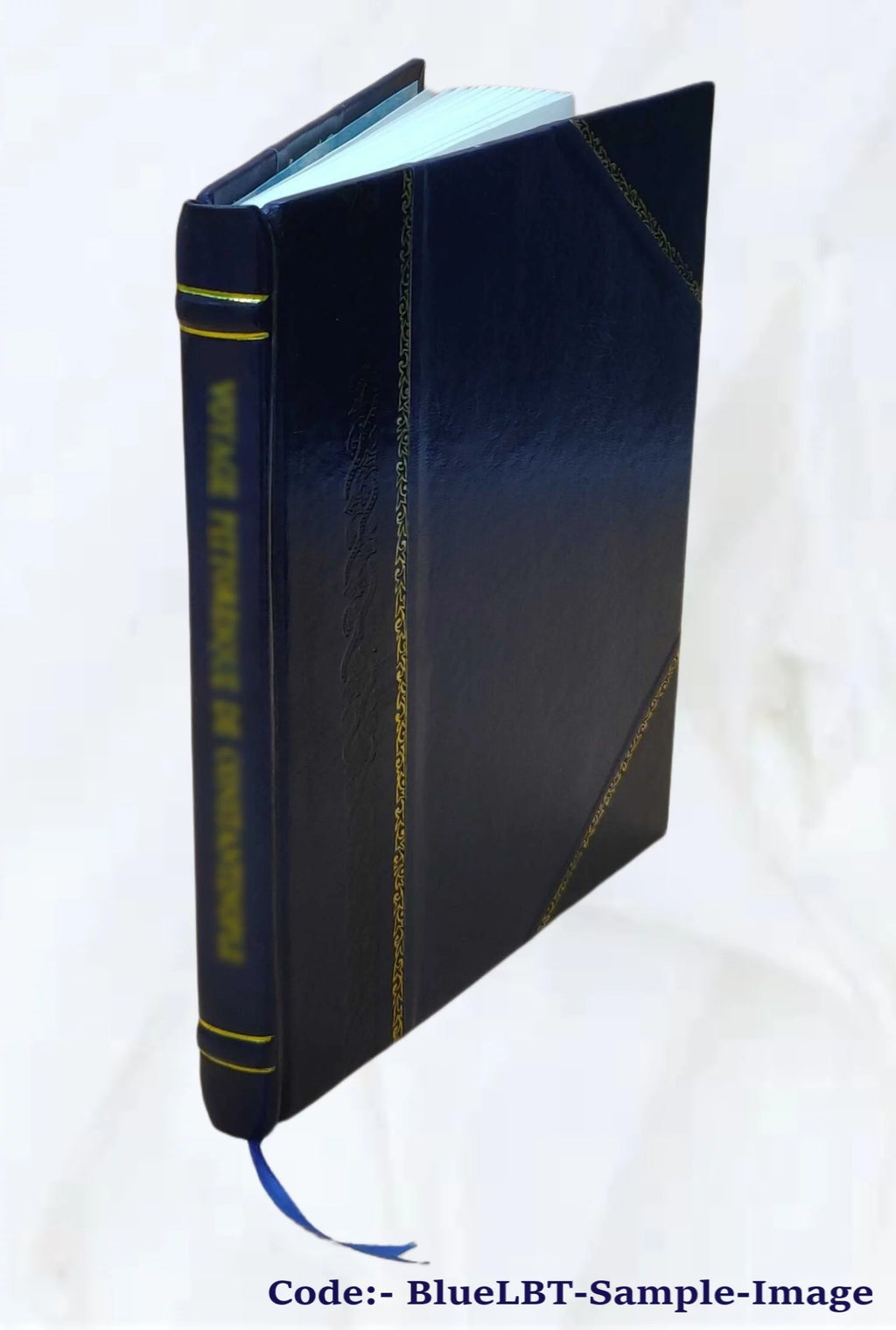 Snake River and lower Salmon River Idaho Leather Bound J478089