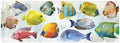 Tropical Swim Canvas Art L711