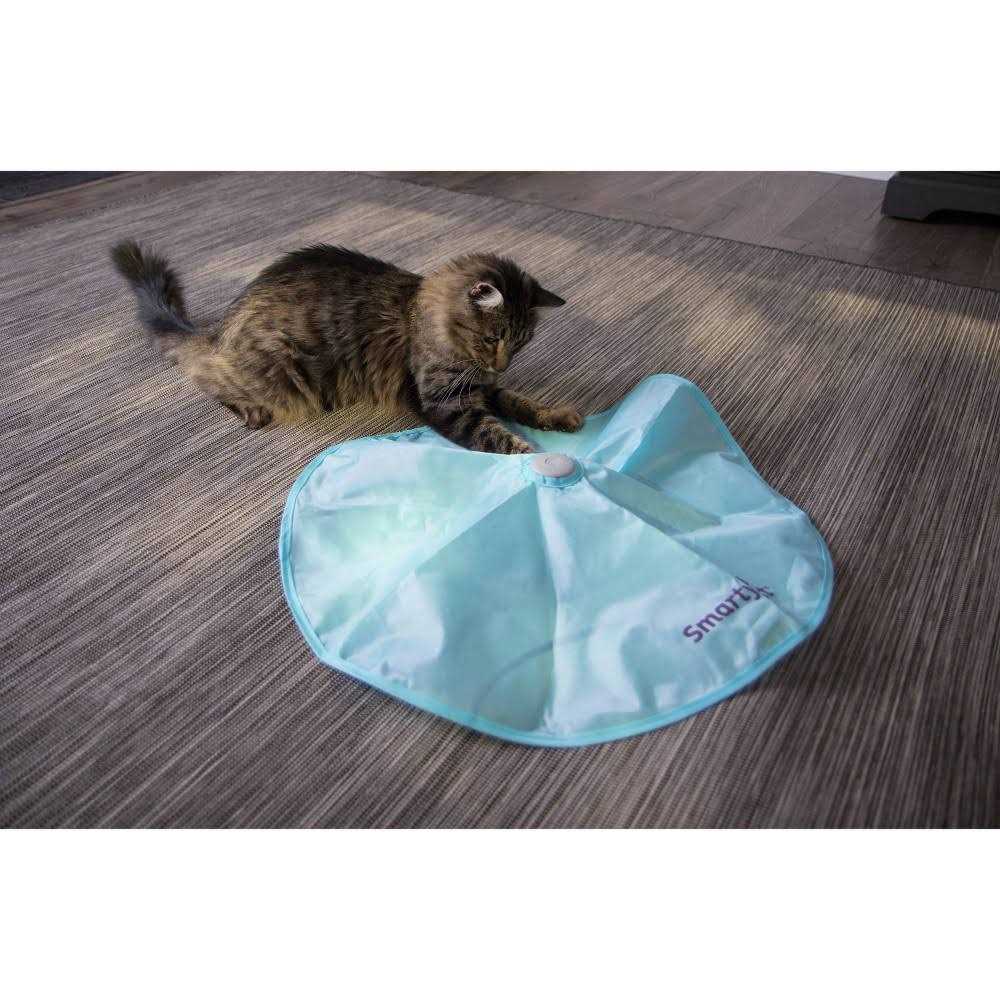 Electronic Motion Cat Toy X3429