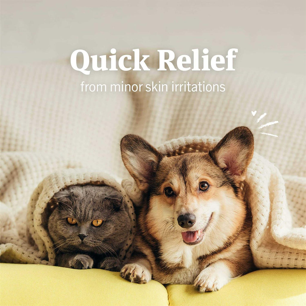 Hydrocortisone Spray for Dogs and Cats U53290