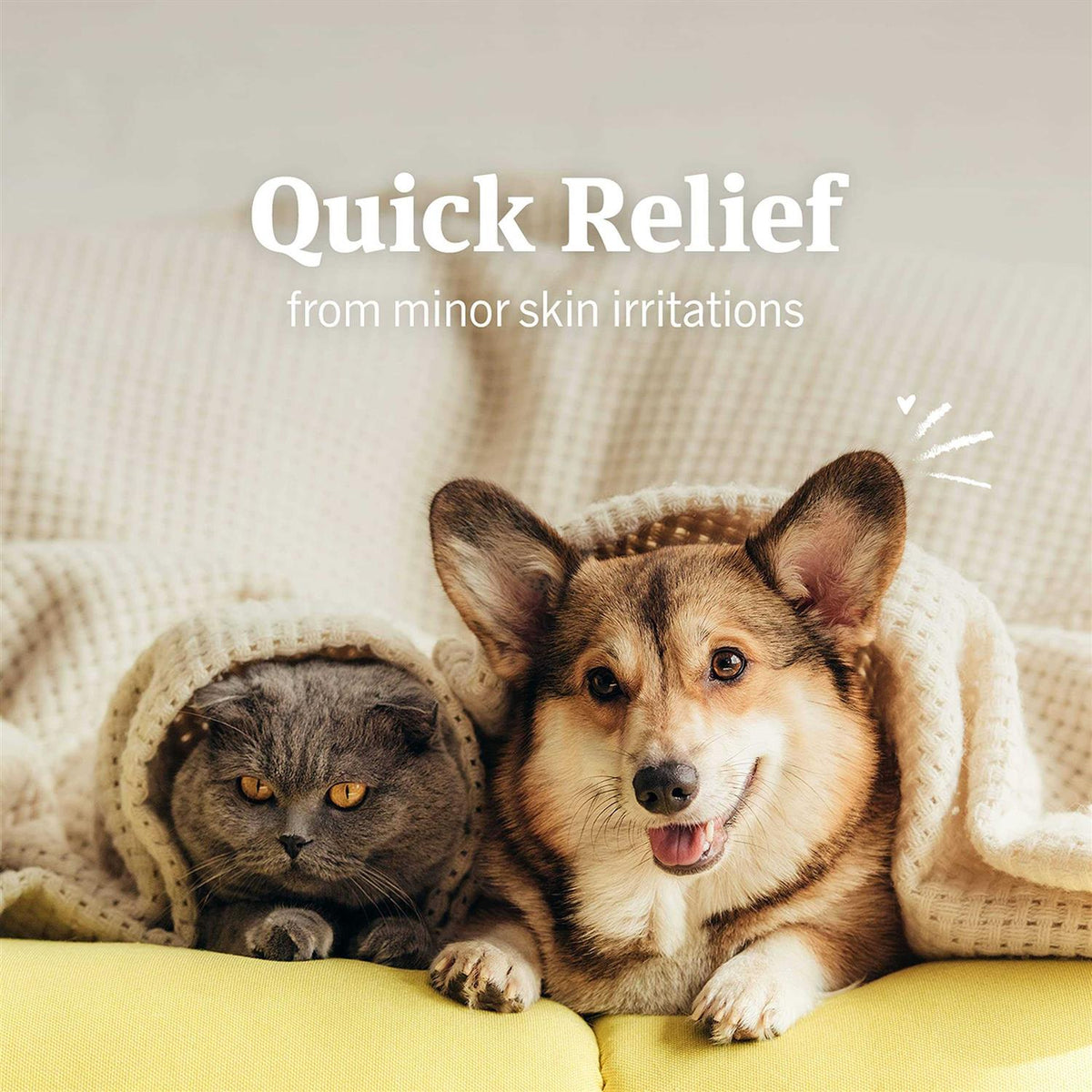 Hydrocortisone Spray for Dogs and Cats U53290