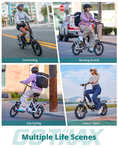 16" Folding Electric Bike with Removable Battery L561