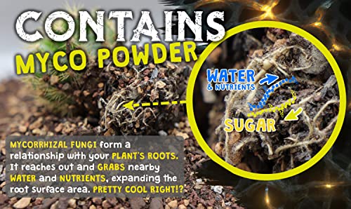Cactus Potting Mix with Mycorrhizal Fungi 8 Pounds L8822