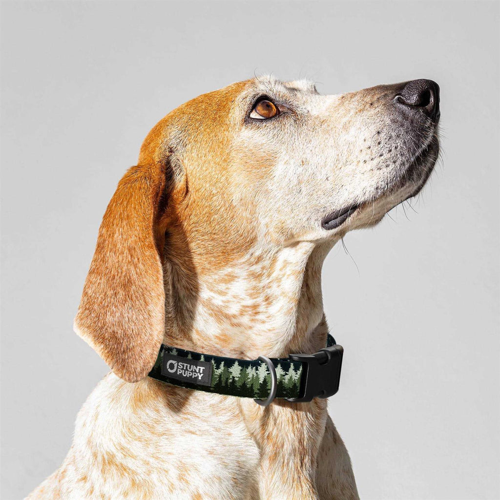 Collar A129763