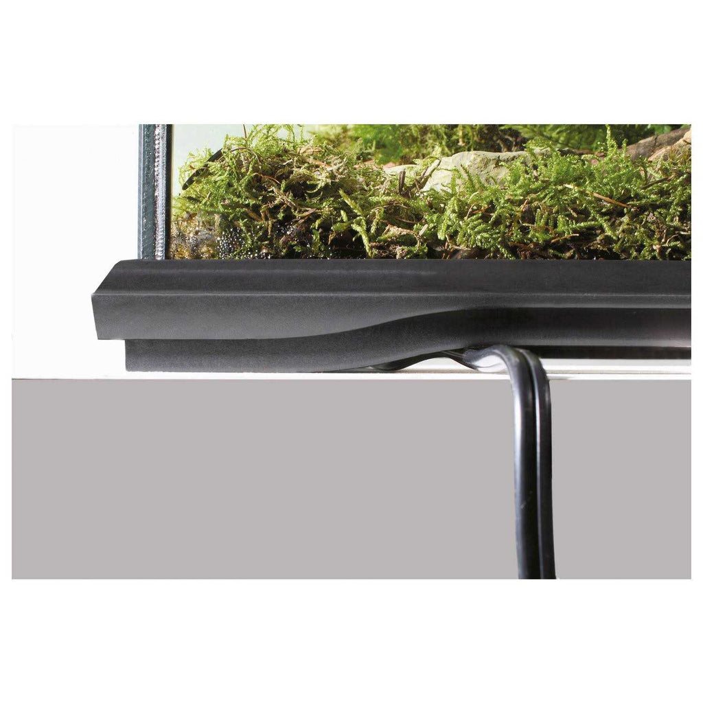 Glass Terrarium L267693
